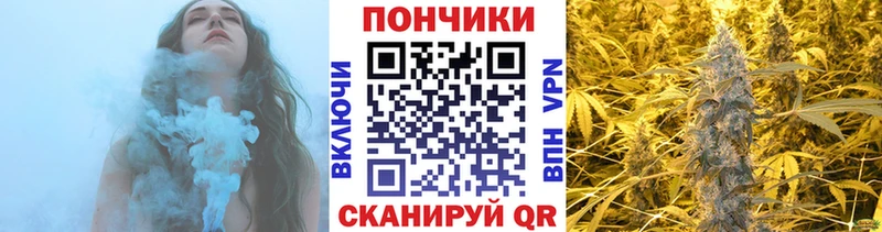 как найти закладки  Елец  omg зеркало  Шишки марихуана план 